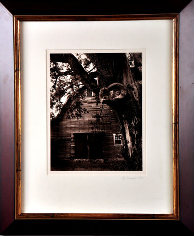 Barn And Tree